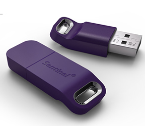 License Key